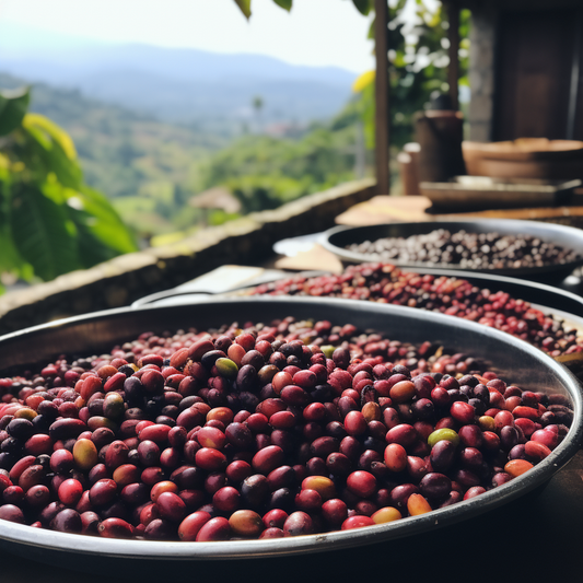 Experience Pure Bliss with Devildog's Brew and Beans' Costa Rica Single Blend Coffee